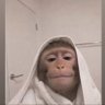 Dayo.'s profile picture