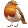 Notts Bird 的头像