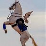 Фото профиля joad2007