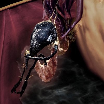 Swagchecked's profile picture