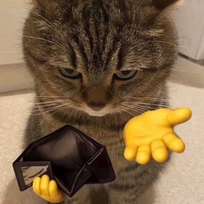 Dom kikilu's profile picture