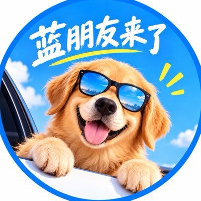 lanpengyoulaile's profile picture