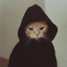 Hansel's profile picture