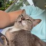 Henri Ducard's profile picture