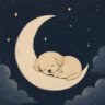 Profilbild von 风上星AIGC