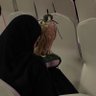 ِ's profile picture