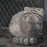 y profil fotoğrafı