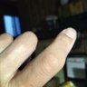 きゃんち profil fotoğrafı