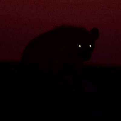 be_evolved1's profile picture