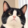 yndie profil fotoğrafı
