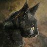 Abi (アビー)@絵描き profil fotoğrafı