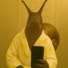 Padi's profile picture
