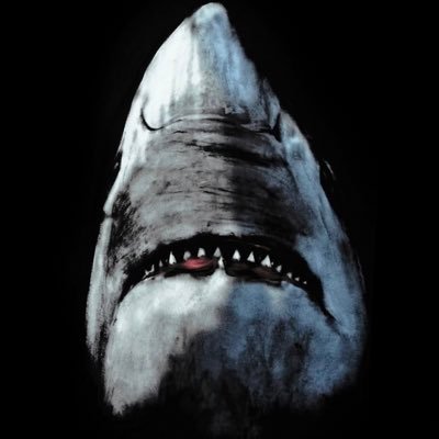 LisaBrenner6's profile picture