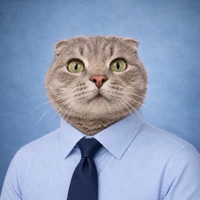 Alexcehn's profile picture