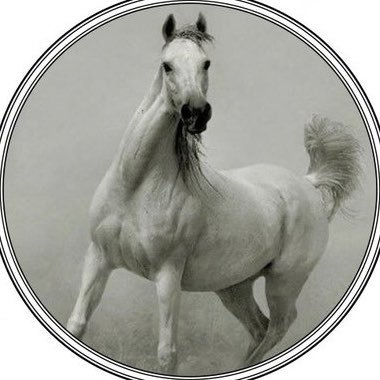 Fwn333's profile picture