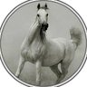 أ/فاطمة بنت أحمد's profile picture