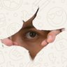 𝗦𝗮𝗴𝗲's profile picture