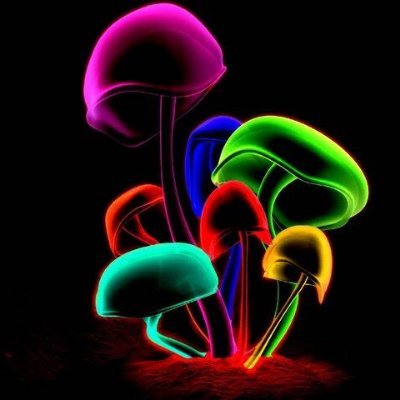 NutB191263's profile picture