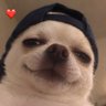 Profilbild von นมขวด 🍼🤍| MY SIDE
