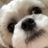 RIkI 的头像