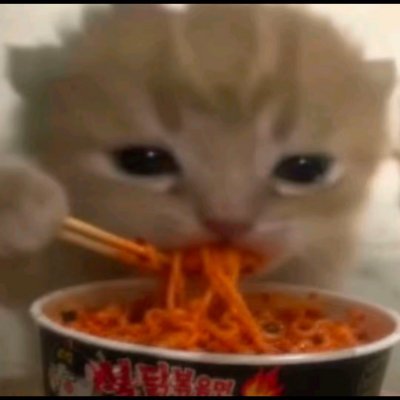 두콩's profile picture