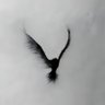 ٰ's profile picture