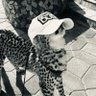 ًًً profil fotoğrafı