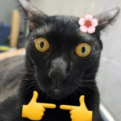 ghe_muoi's profile picture