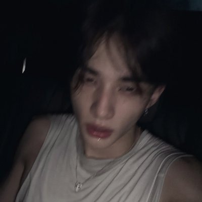 loveseungm0o's profile picture