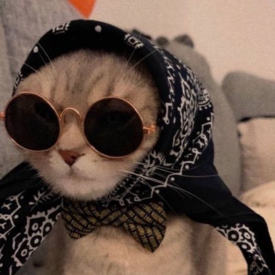 𝓟 ❤︎'s profile picture