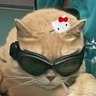 Profilbild von 🍒 cherby