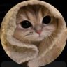كَ's profile picture