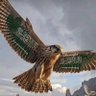 ابو مهند's profile picture