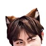 Profilbild von fox
