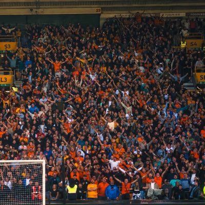WeAreWolvesFans's profile picture