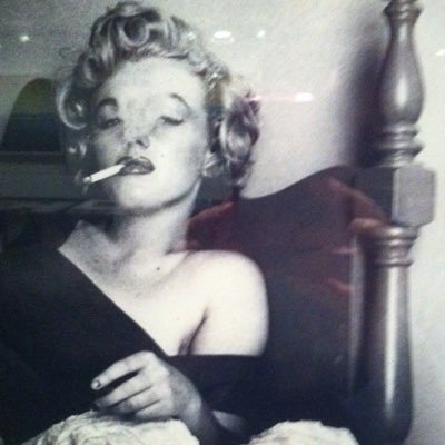 Dani.🦇's profile picture