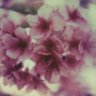 Фото профиля M🌺