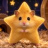 Hamstar 的头像