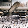 Profilbild von نخلة🕋