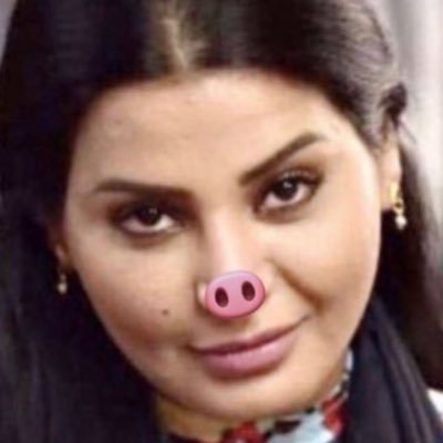 wshmbbc's profile picture