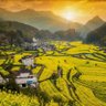 Фото профиля 禾天天和