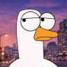 Molka's profile picture