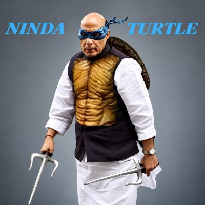 NindaTurtles's profile picture