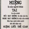 Trần Hiển's profile picture