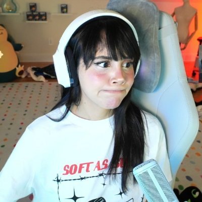 Neeko meme🍒 (Fan Account)'s profile picture