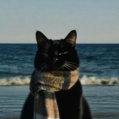 Kurotchivlr's profile picture