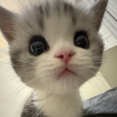 Lynn_8730's profile picture