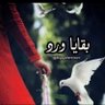 بقايا ورد 的头像