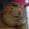 Profilbild von Mk