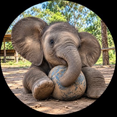 FakeJoySpark's profile picture